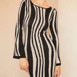 Leisure Zebrataur Long Sleeve Long Dress